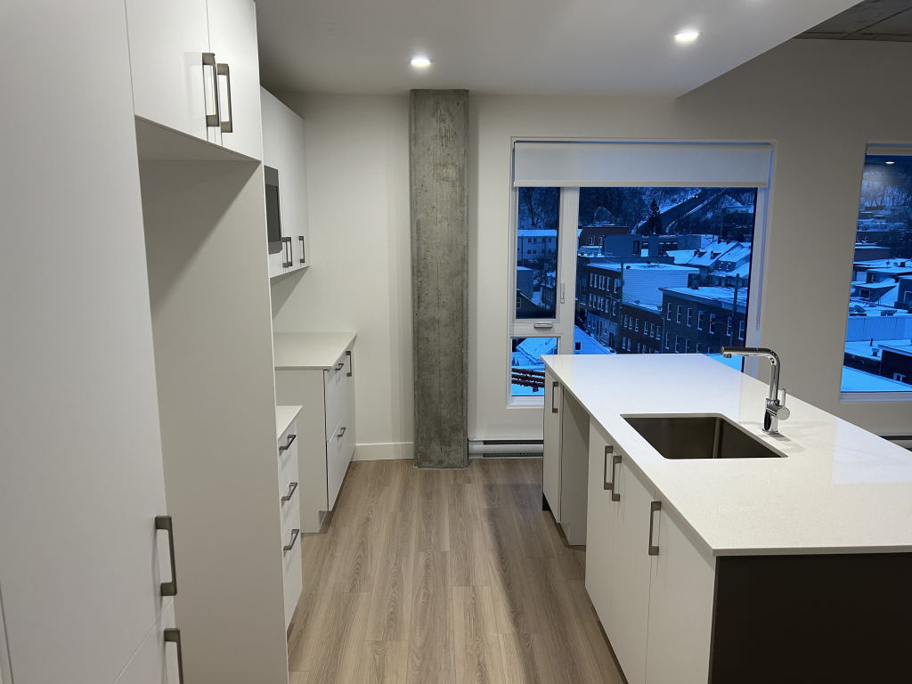 Magnifique Penthouse Deux Chambres