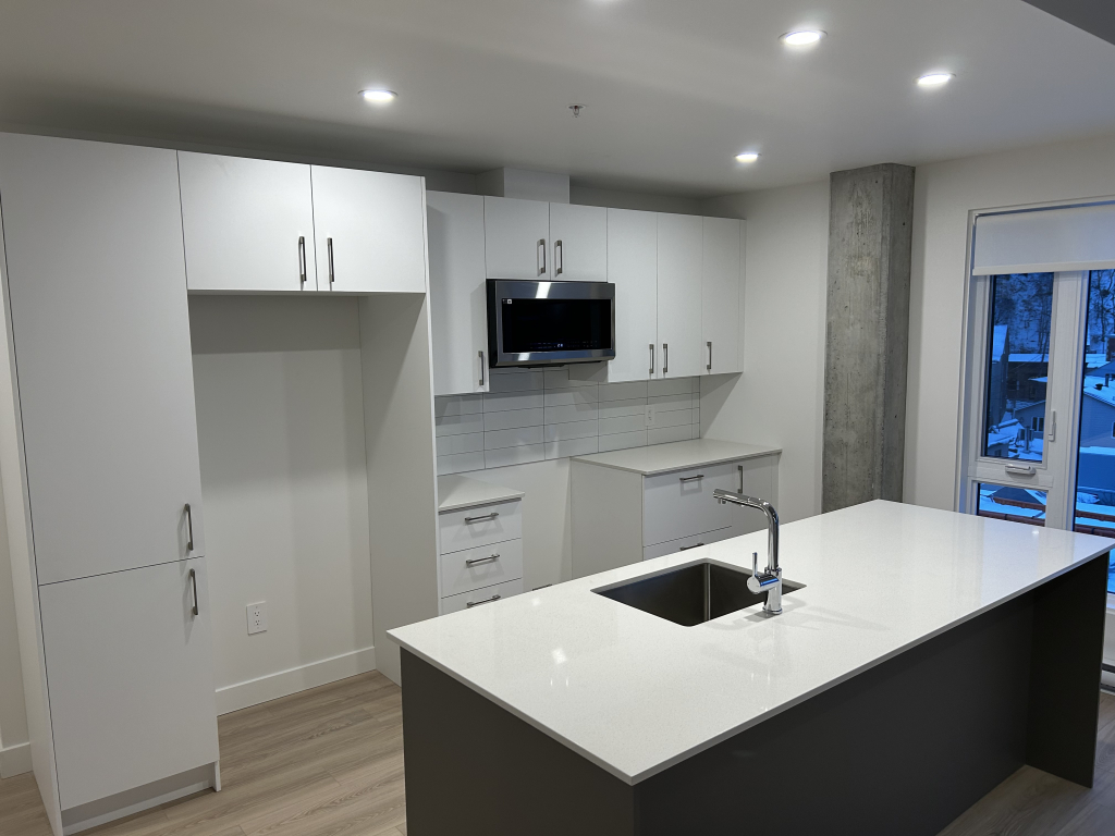 Magnifique Penthouse Deux Chambres