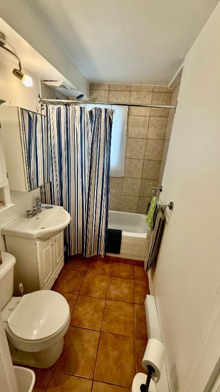 41/2 à louer Vieux Longueuil 1425$ - 1er juillet 2025