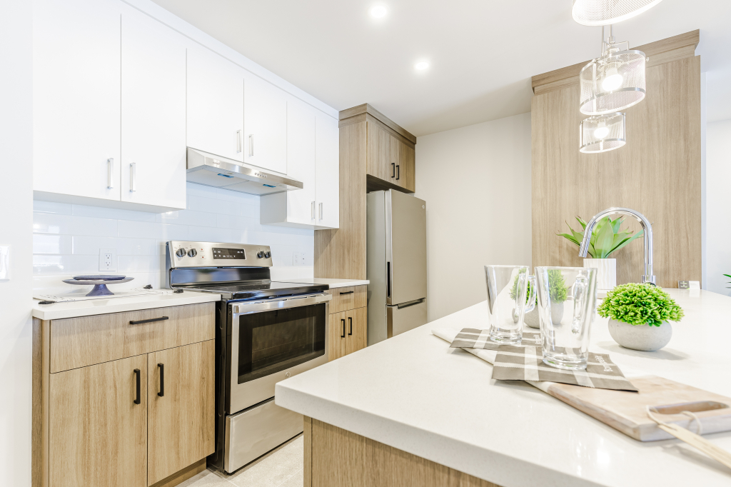 4 1/2 Condo De Luxe - District