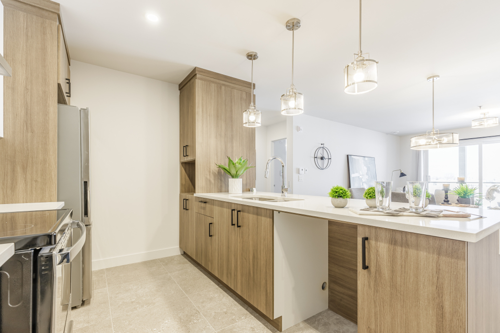 4 1/2 Condo De Luxe - District