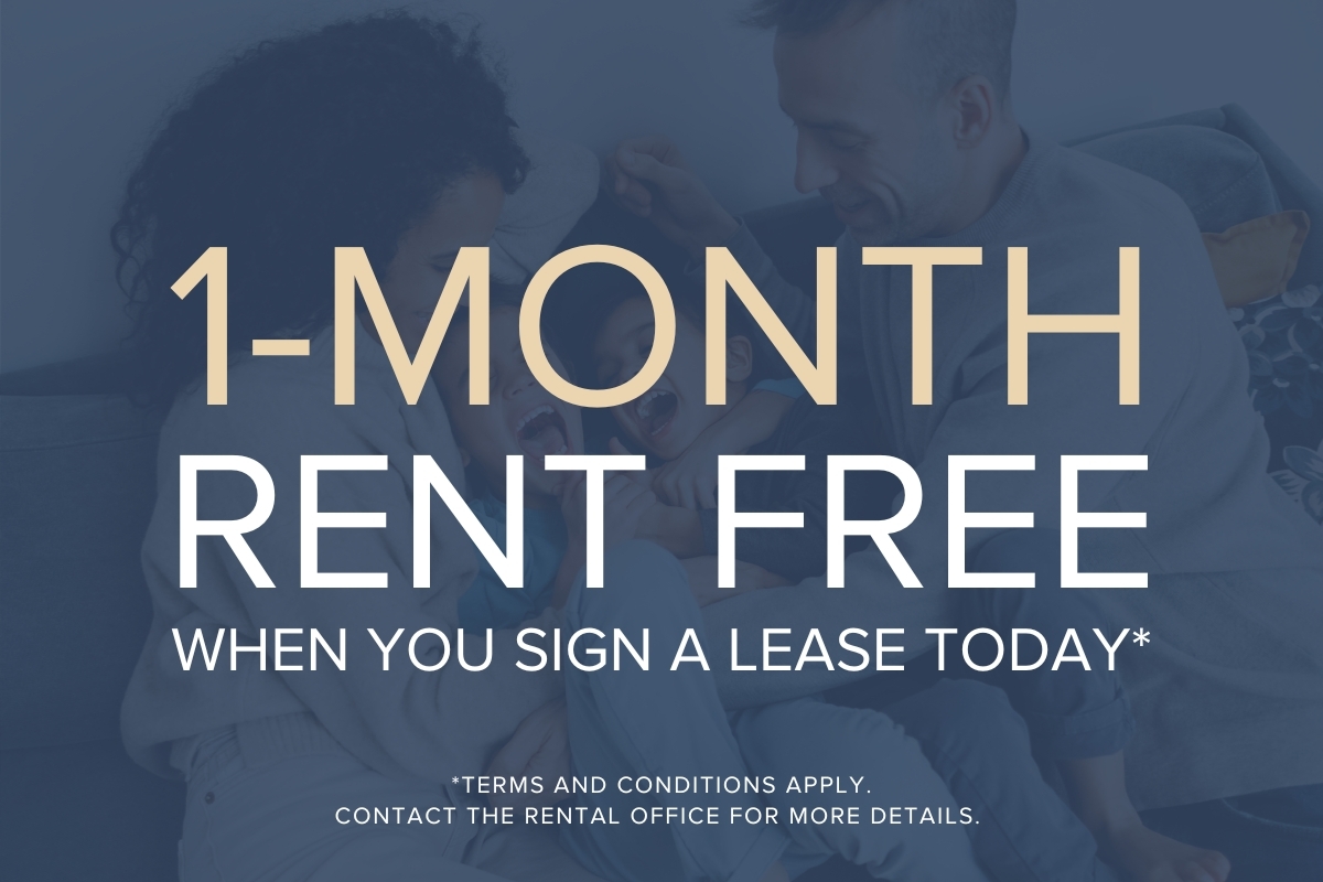 1 Bedroom Available At 1050 Bd René-Lévesque E, Montréal - 1050 Bd René-Lévesque E, Montréal