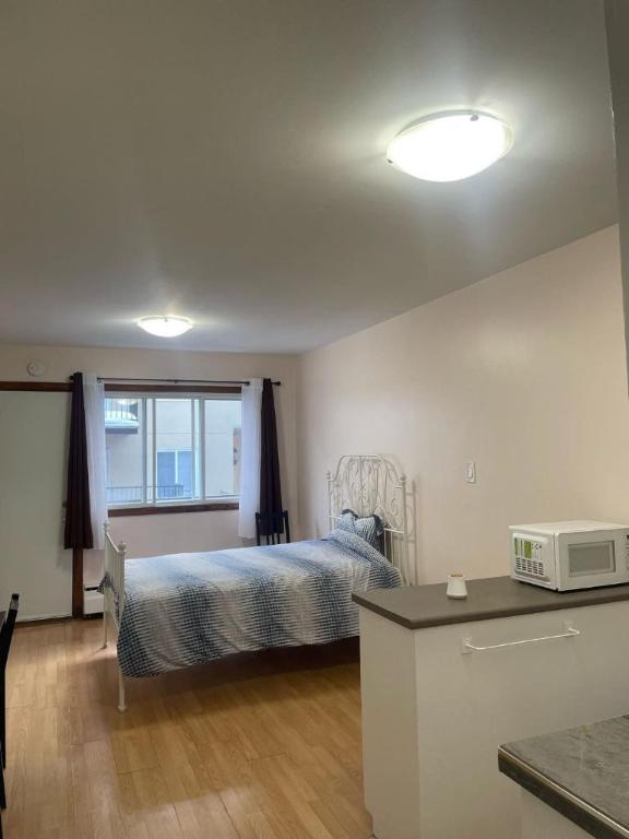 1 1/2 - Montréal (Le Plateau Mont-Royal) - 1 250 $/mois