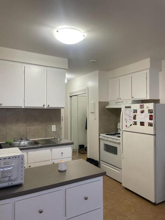 1 1/2 - Montréal (Le Plateau Mont-Royal) - 1 250 $/mois