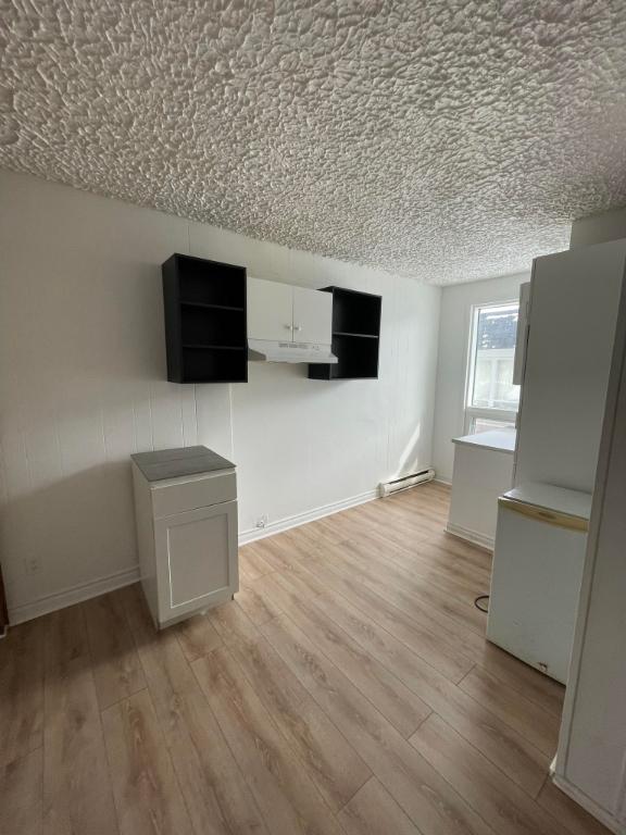sainte agathe des monts 3 1/2 electricite ,wifi ,possibiliter de stationement deneiger 1200$