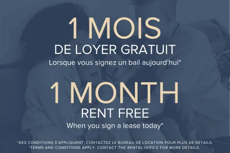 1 room apartment of 110m² in Montreal