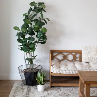 1 room room of 21 m² in Montreal