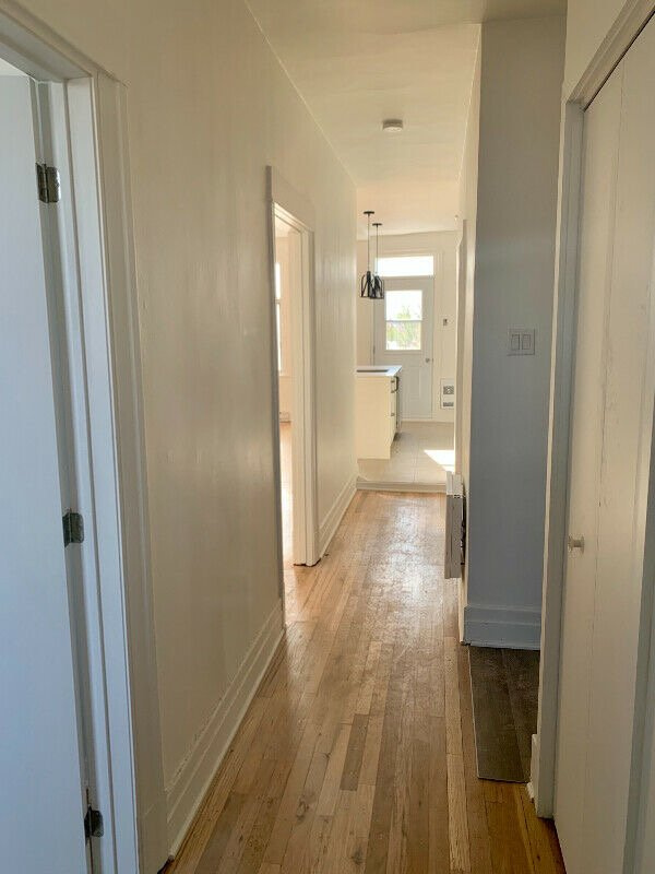 Pointe St-Charles - Superb 3 1/2 -July 1