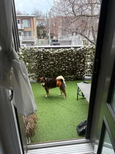 1 room house of 26 m² in Montreal