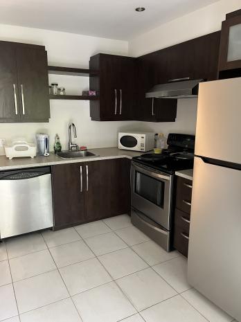 Appartement 3 1/2 - Hochelaga