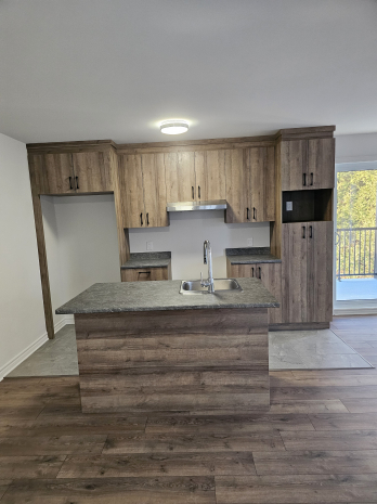 LUMINEUX Apartement 4.1/2 A Louer NEUF