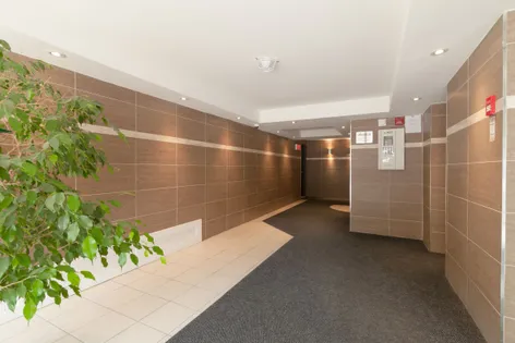 1 room apartment of 56 m² in Montreal