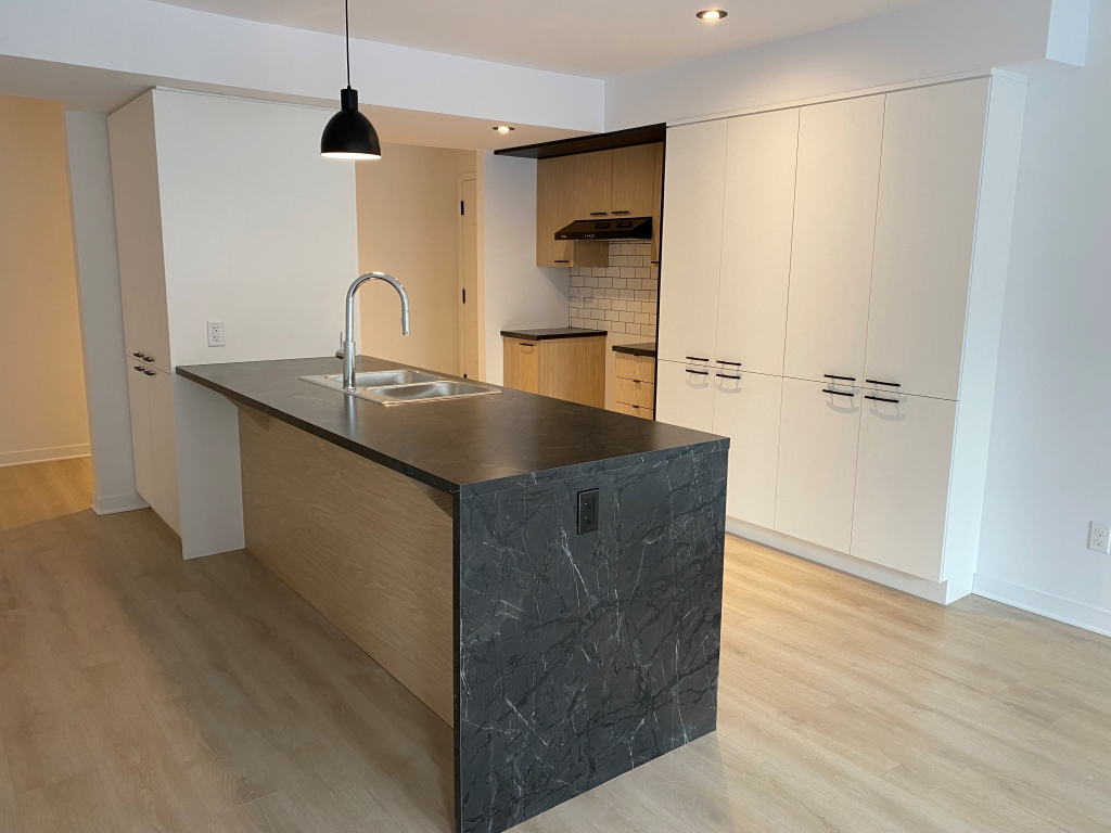 Logement 4 1/2 - 1er Juil - Saint-Jérôme