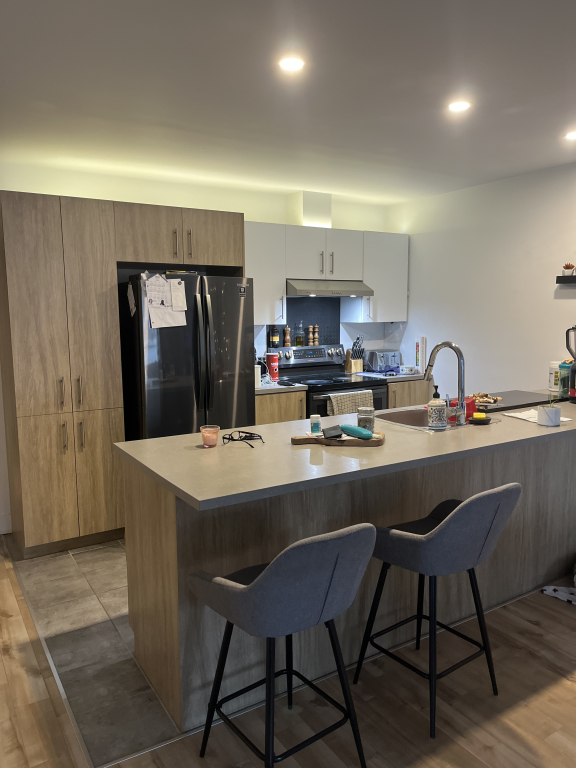 Grand 5 1/2 Style Condo à Louer