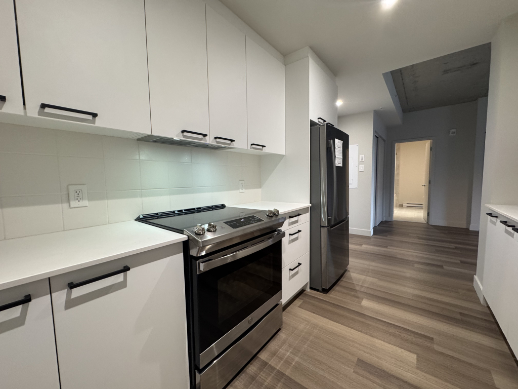 Villeray - Superbe Condo 4 1/2 - 1 Juin