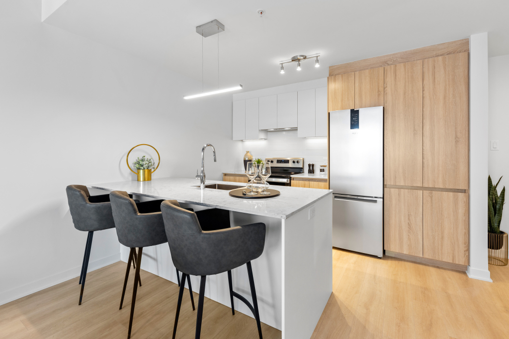 4 1/2 à Louer - Brossard, REM