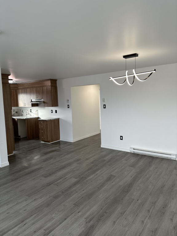 Condo 3 Chambres Entierrement Renové
