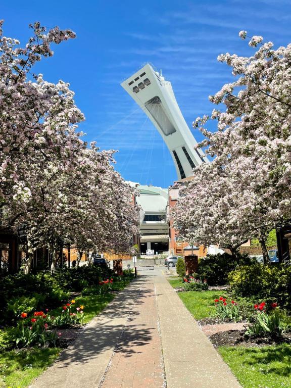 *** Tout meublé - Stationnement int. (optionel au besoin). - pas d'animaux - disponible à partir du 15 octobre 2025 ***