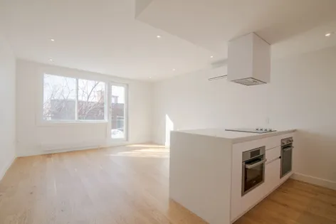 1 room apartment of 55m² in Montreal