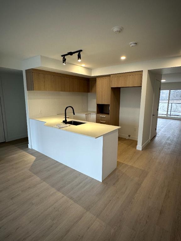41/2 *1MOIS GRATUIT ET CHIEN ACCEPTÉ* NOUVELLE CONSTRUCTION DISPO MAINTENANT