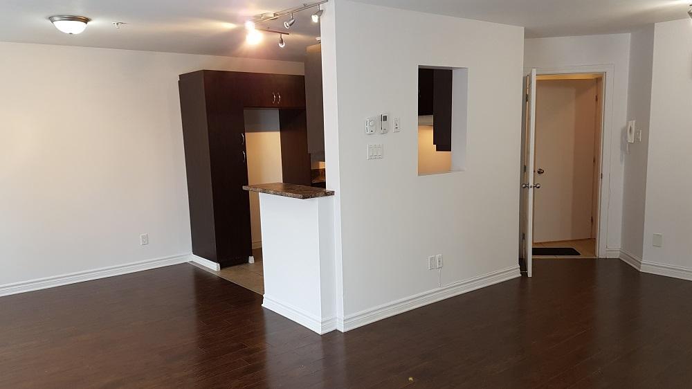 Appartment 4 1/2 dans une zone residentielle tranquille