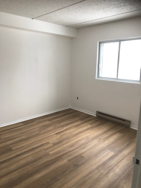 Beau 4 1/2 Lumineux Dans Petit Immeuble
