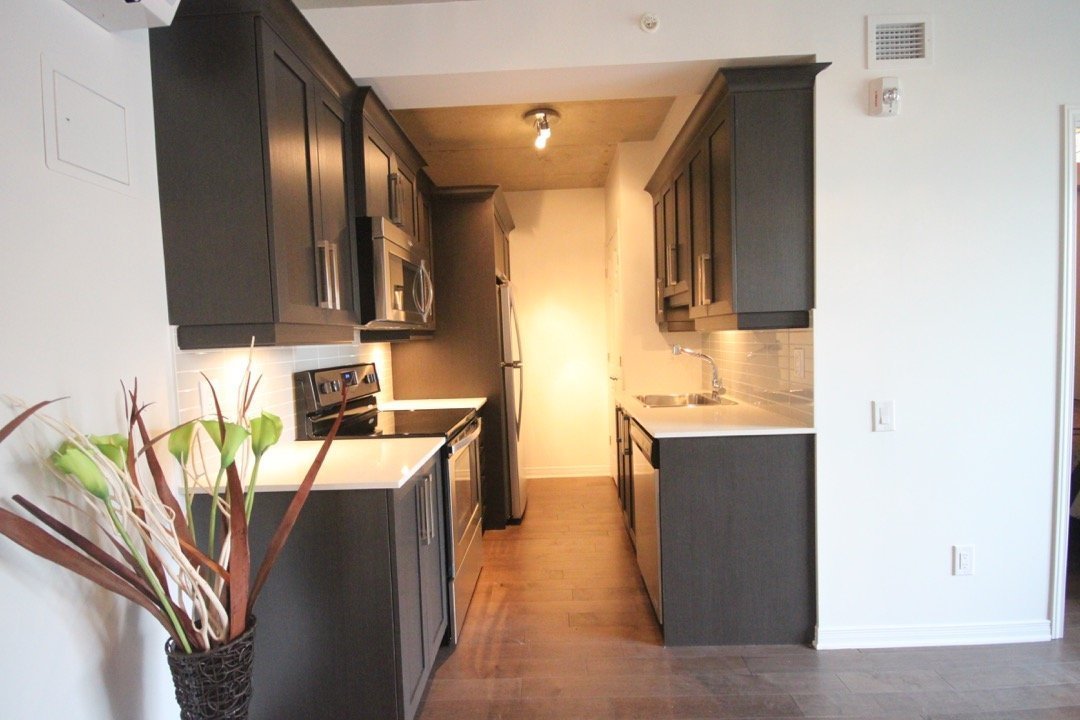 Appartement Montréal (Ville-Marie) À Louer
