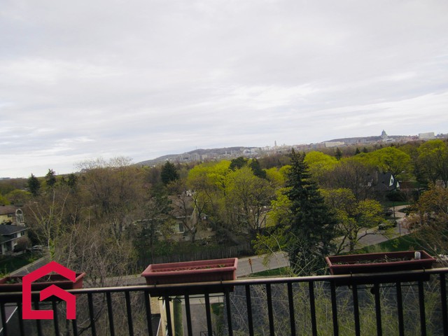 Appartement Mont-Royal À Louer