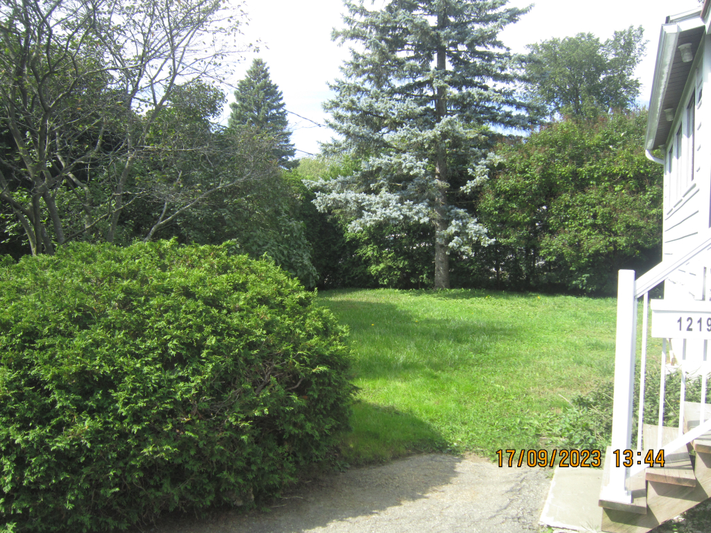 Petite Maison Ensoleillée, Terrain Intim