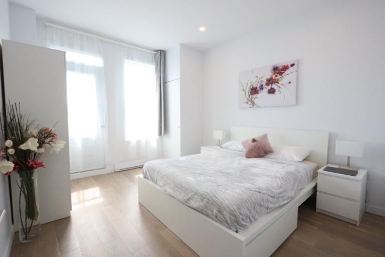 3 1/2 - Montréal (Le Plateau Mont-Royal) - 1 700 $/mois