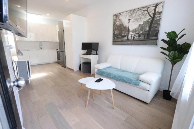 3 1/2 - Montréal (Le Plateau Mont-Royal) - 1 700 $/mois