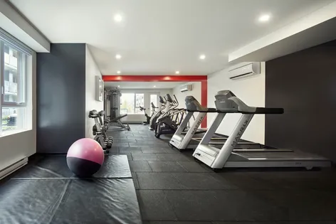 1 room apartment of 61 m² in Montreal