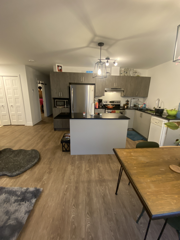 4-1/2 Neuf St-rémi Accepte Animaux