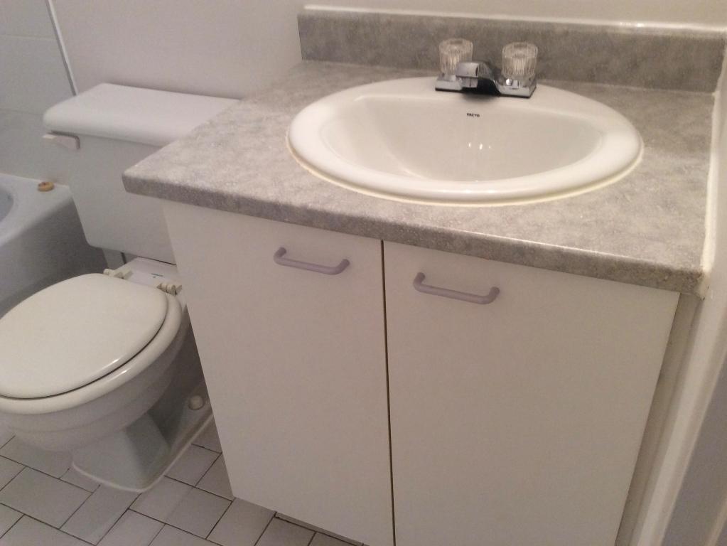 Rosemont 10e ave grand 3 1/2 à louer
