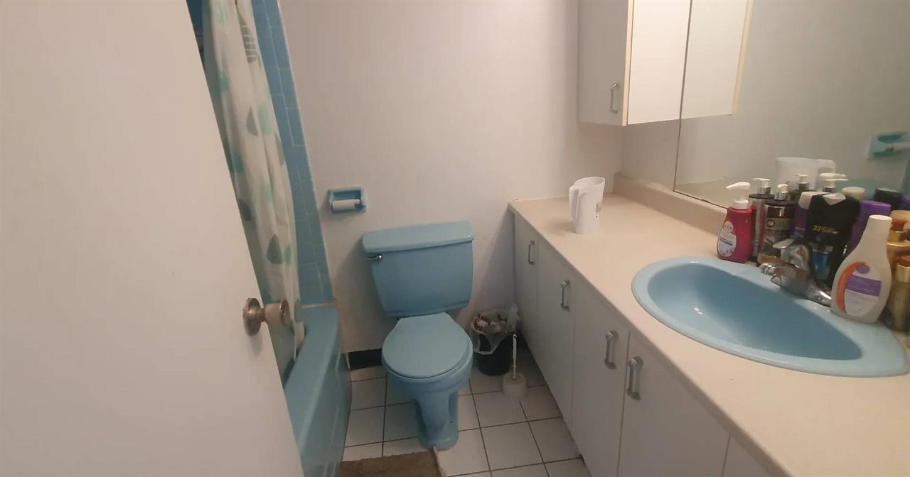 240 Boulevard Alexandre-Taché (Hull) Très Beau Appartement D'une Chambre