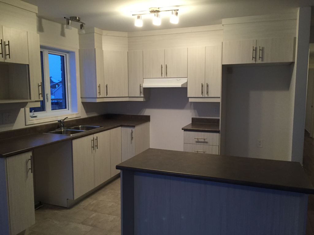 Appartement 4 1/2 A Louer