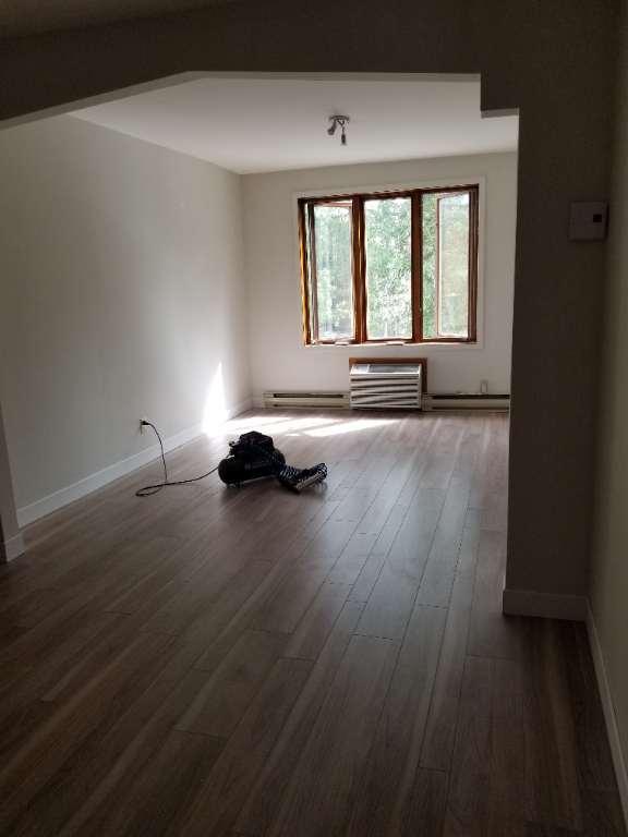 Grand 4 1/2 lumineux avec salon double , 2 chambres fermées, disponible 1 juin, Rosemont petite Patrie, deuxième étage Duplex