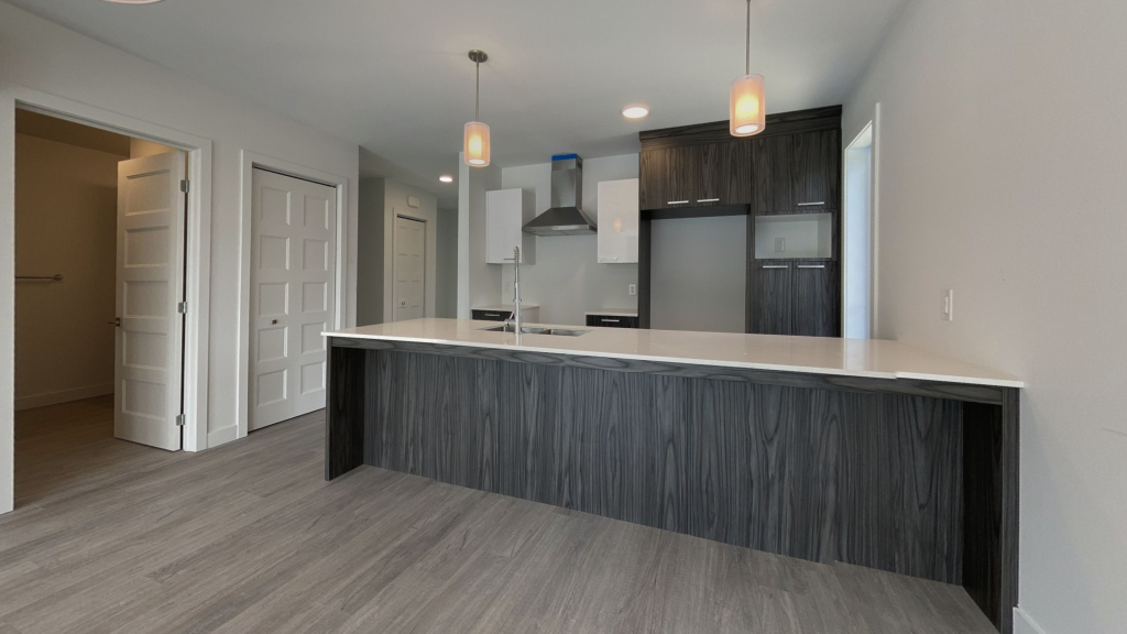 BEAU 4 ½ | MONT-BELLEVUE |JUILLET