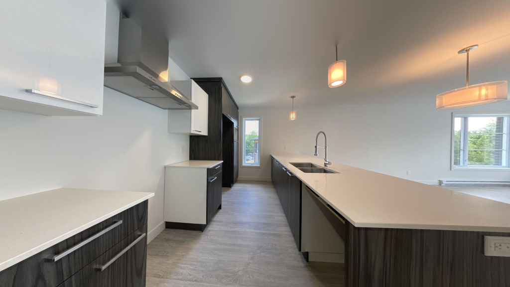 BEAU 4 ½ | MONT-BELLEVUE |JUILLET