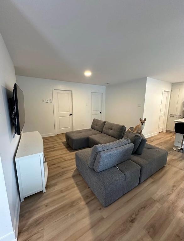 Appartement 4 1/2 - CHIENS ACCEPTÉS