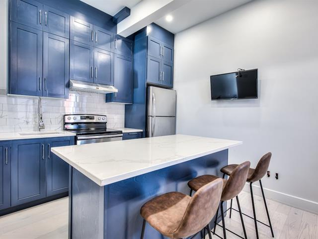 McGill Area - Superb 6 1/2 Furnished