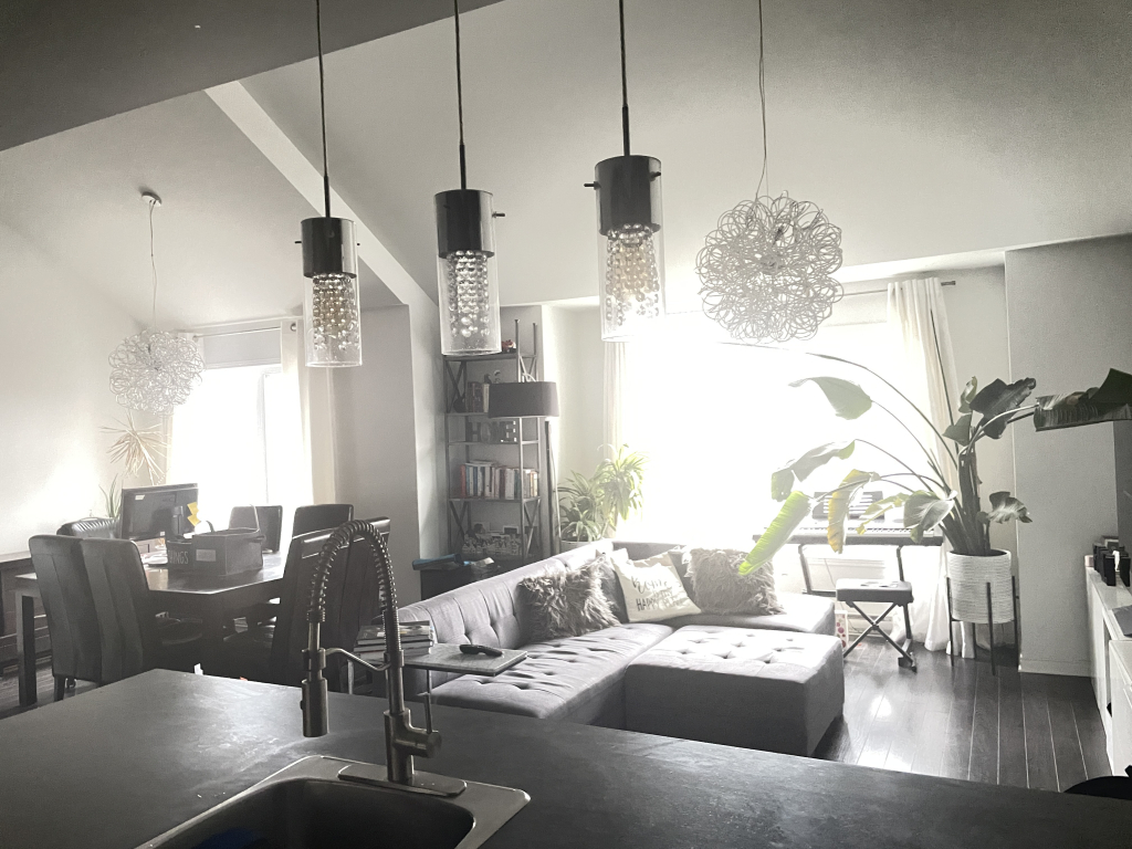Magnifique 4 ½ + Mezzanine (2 Garages)