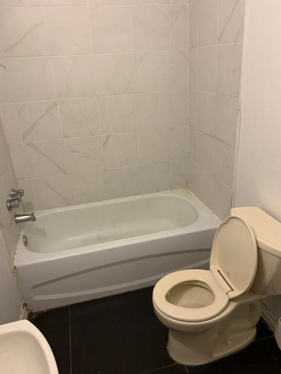 PLATEAU MONT-ROYAL 3 CC, semi RDC Ave Laval\ coin Roy. Rénové à neuf\ ; libre le 1 er juillet 1850$