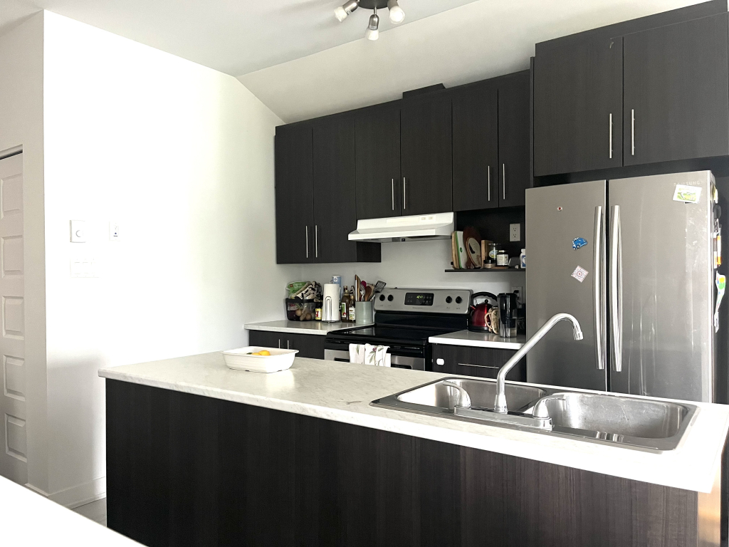 Grand Appartement Lumineux