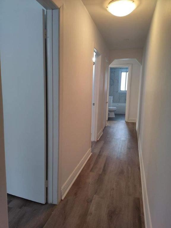 1 CH - 1 SDB - Montréal - $1,338 /mo