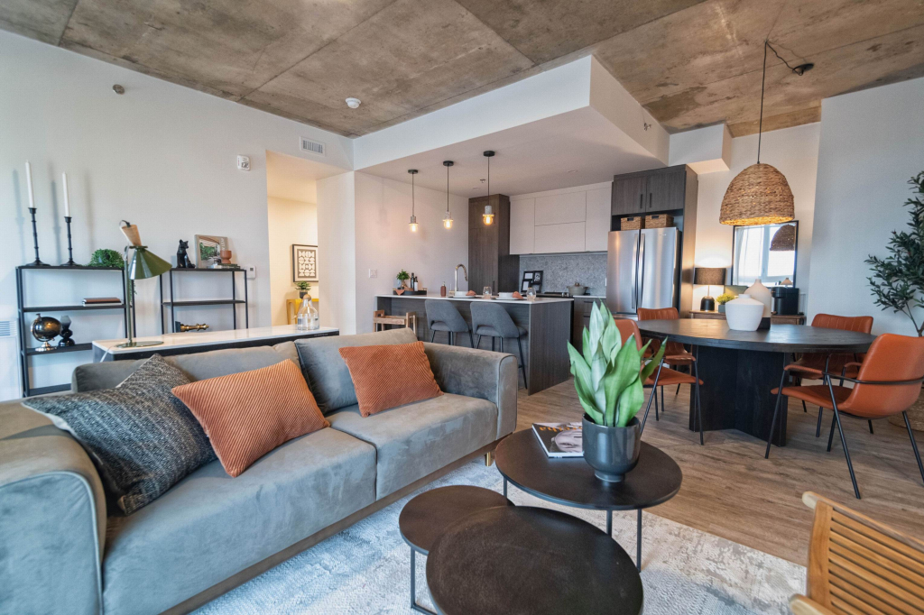 Condos De Luxe 4 1/2 En Location
