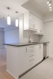 1 room apartment of 51m² in Montreal