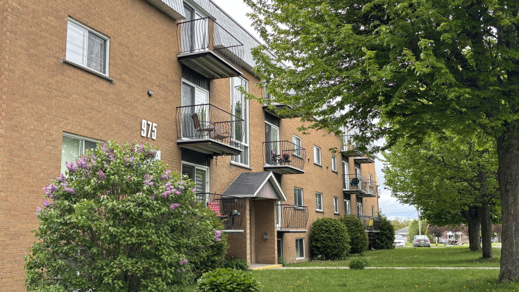 JOLI 3 ½ RÉNOVÉ|FLEURIMONT | JUN-JUILLET