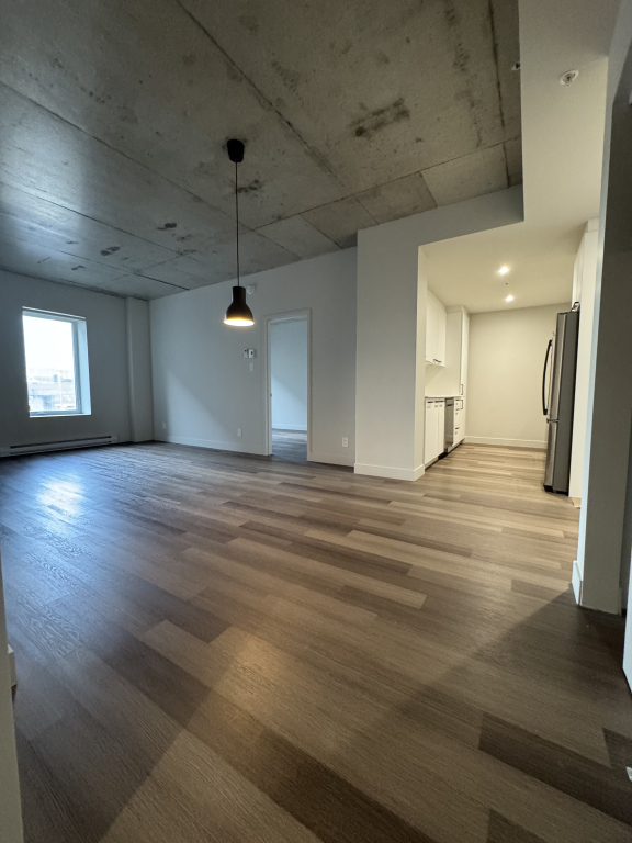 Villeray - Superbe Condo 4 1/2 - 1 Juin