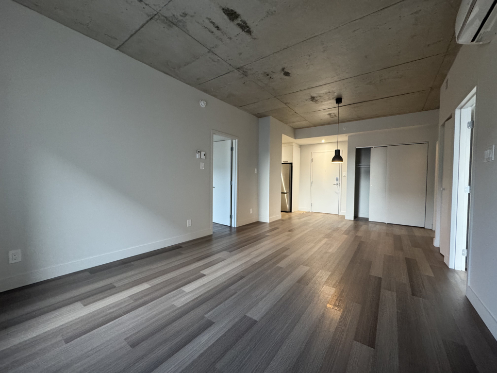 Villeray - Superbe Condo 4 1/2 - 1 Juin